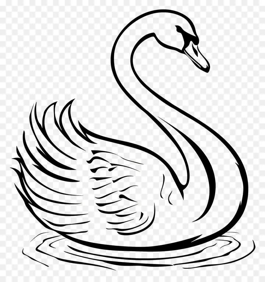 Contour Du Cygne，Cygne PNG