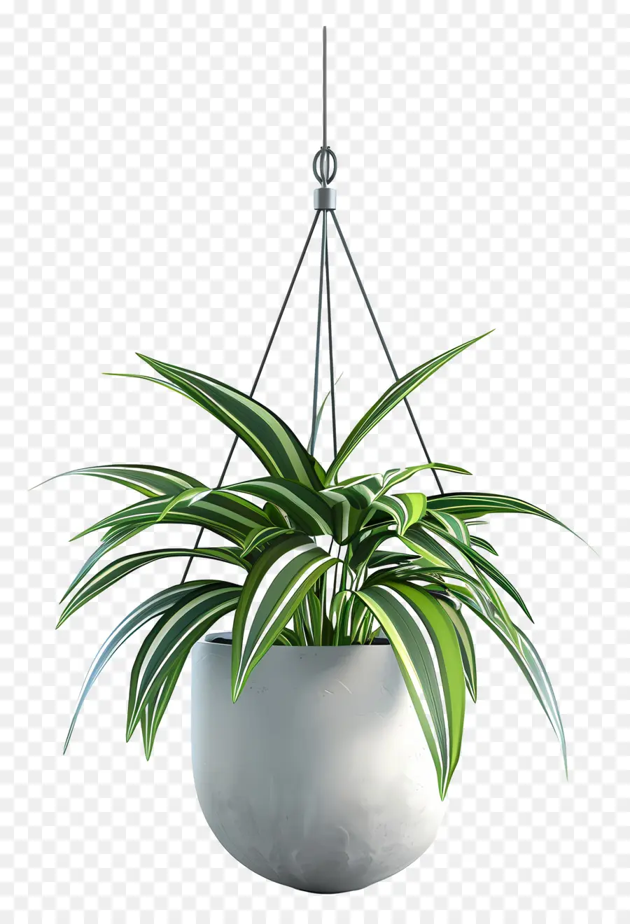 Plante En Pot Suspendue，Plante Suspendue PNG