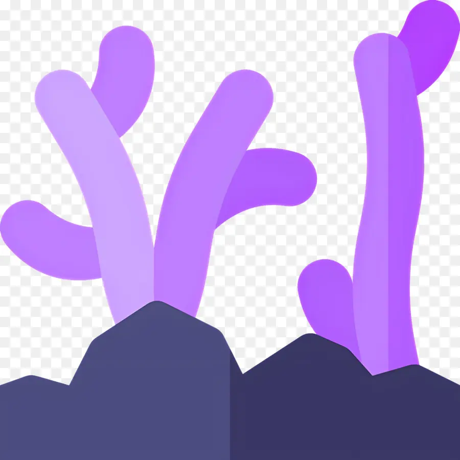 Algue，Corail Violet PNG