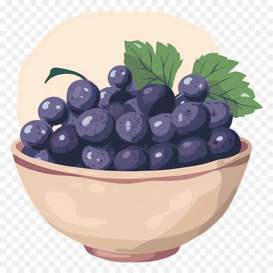 Bol De Raisins，Raisins PNG