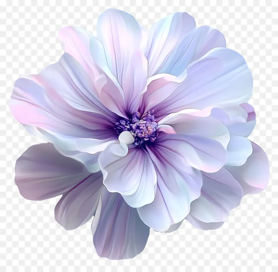 Bonjour，Fleur Bleue PNG