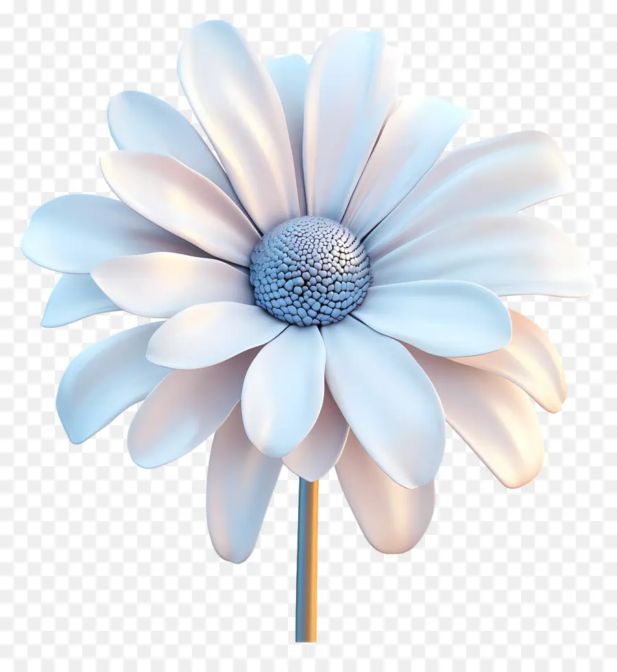 Bonjour，Fleur Blanche PNG