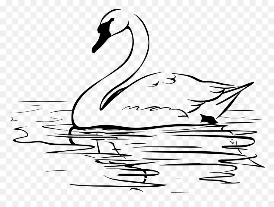 Contour Du Cygne，Cygne PNG