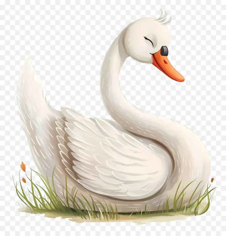 Cygne Mignon，Cygne Blanc PNG