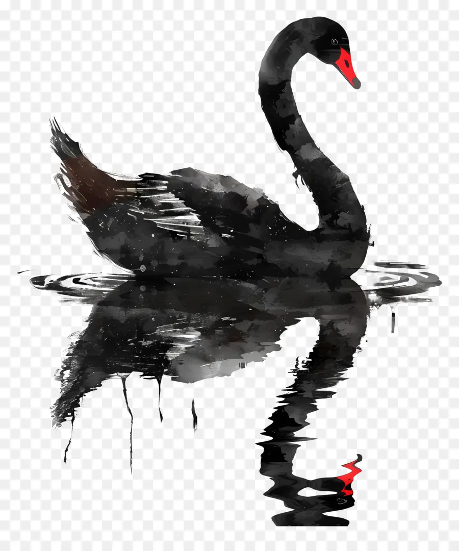 Cygne Noir，Cygne PNG