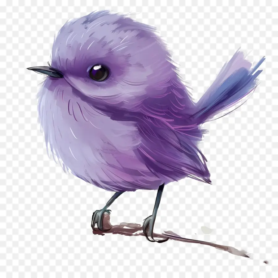 Oiseau Violet，Plumes PNG