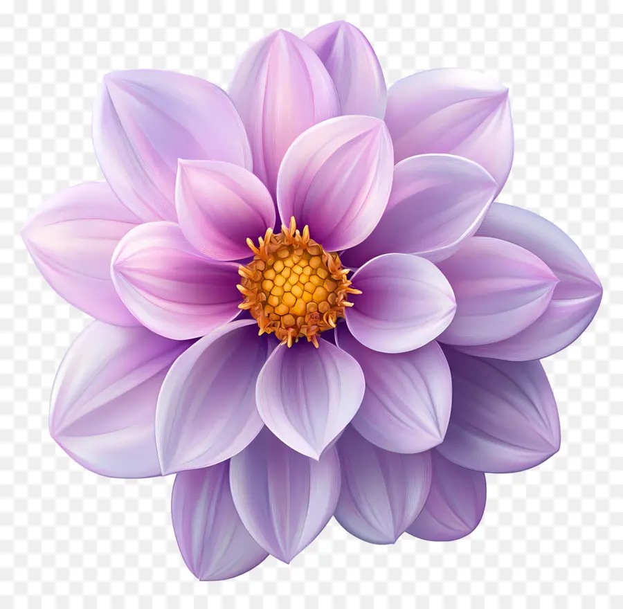 Bonjour，Fleur PNG