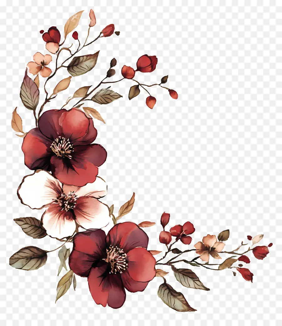 Bordeaux，Coin Floral Rouge PNG