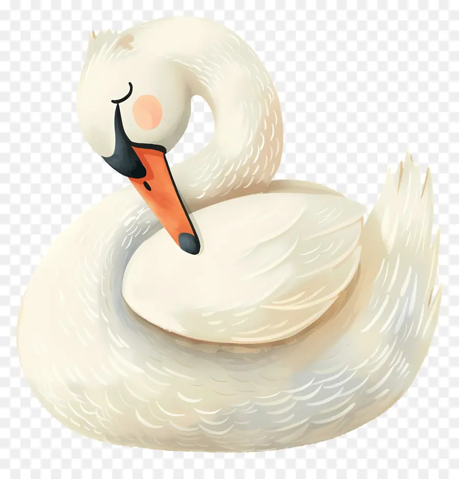 Cygne Mignon，Cygne Blanc PNG