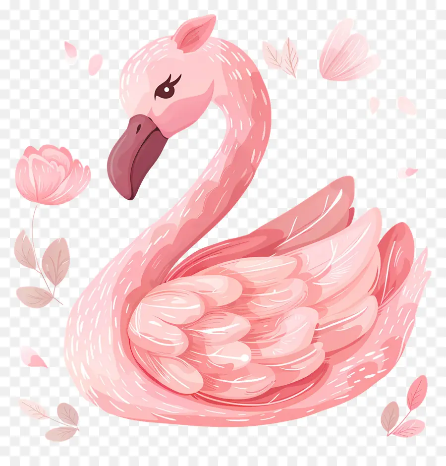 Cygne Rose，Flamant Rose PNG