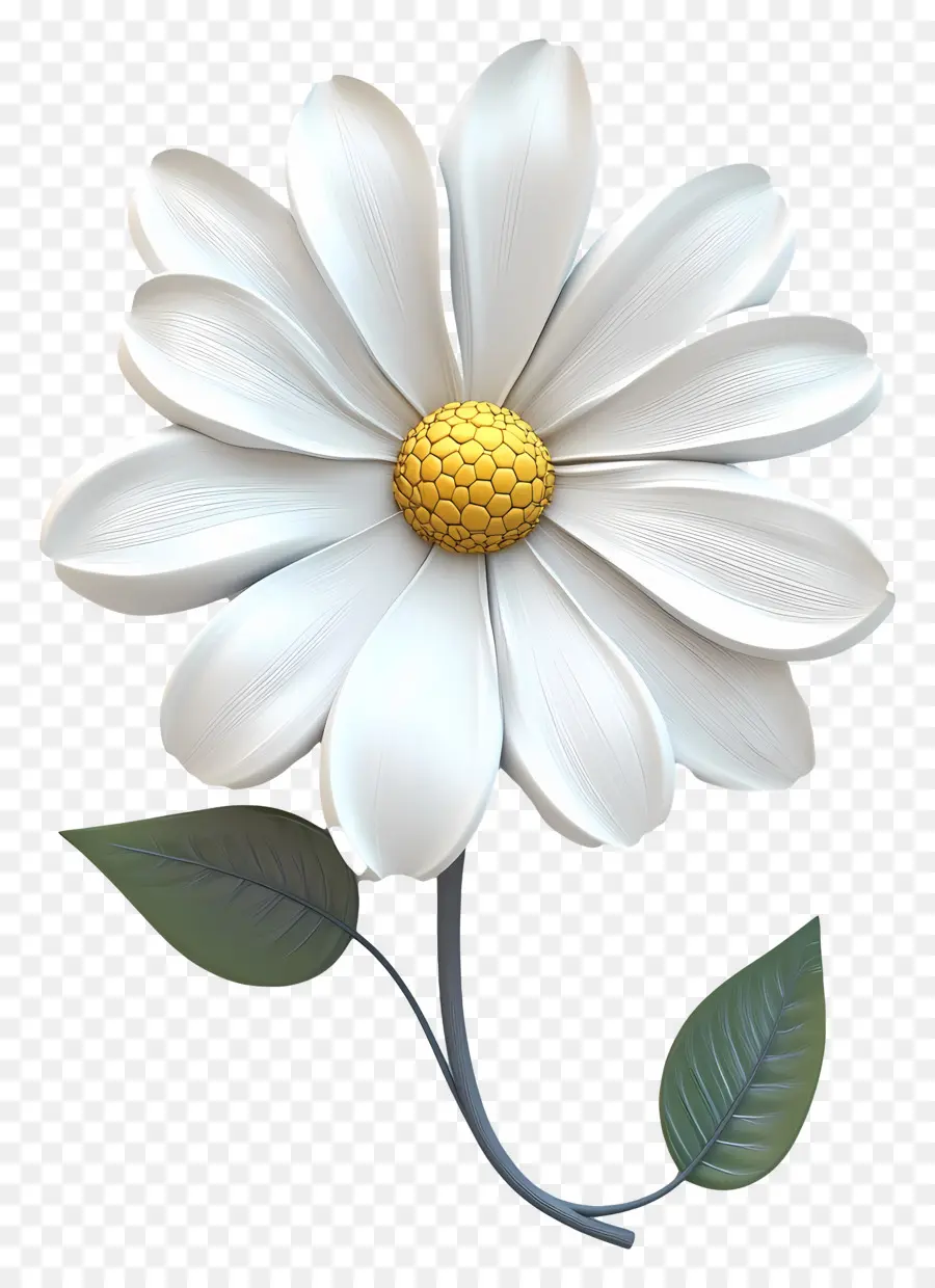 Bonjour，Fleur Blanche PNG