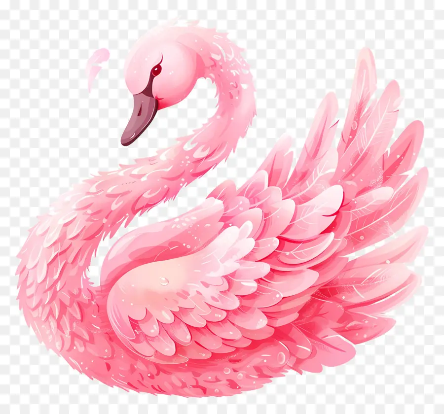 Cygne Rose，Plumes PNG