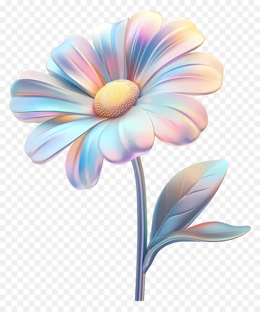 Bonjour，Fleur Blanche PNG