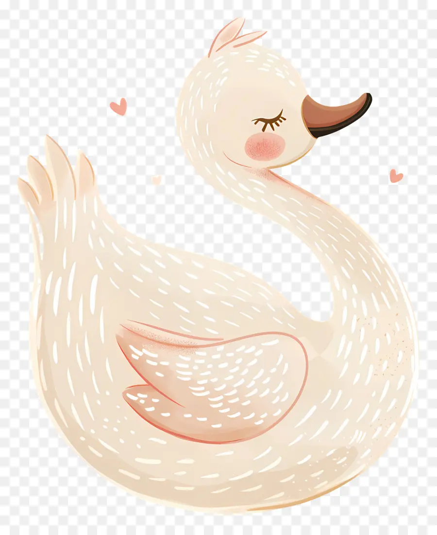 Cygne Mignon，Canard PNG