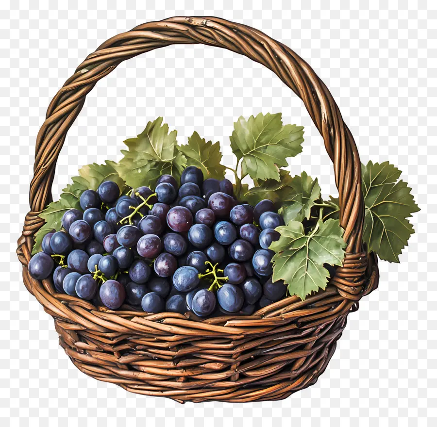 Vendange，Panier De Raisins PNG