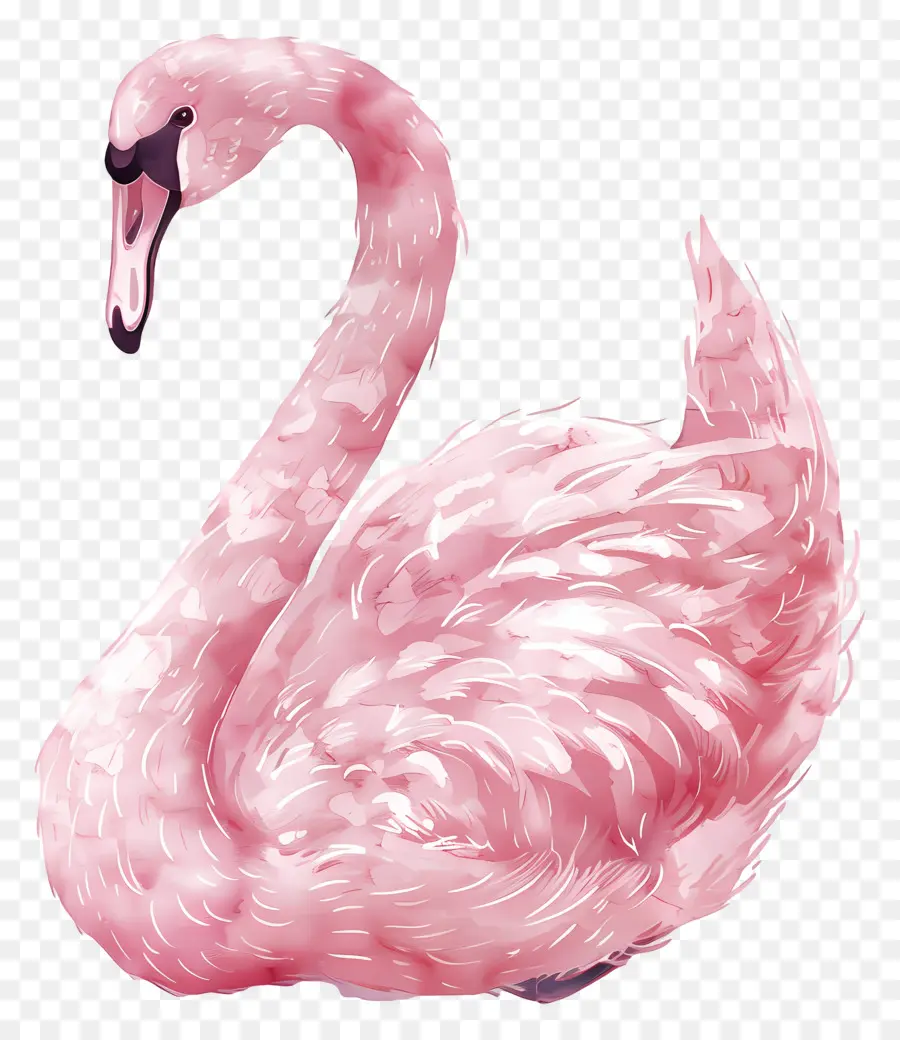 Cygne Rose，Cygne PNG