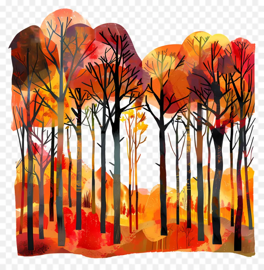 Forêt D'automne，Forêt Colorée PNG