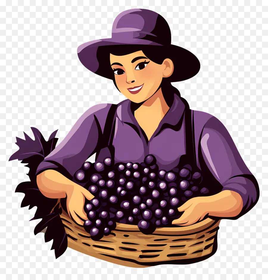 Récolte Des Raisins，Panier De Raisins PNG