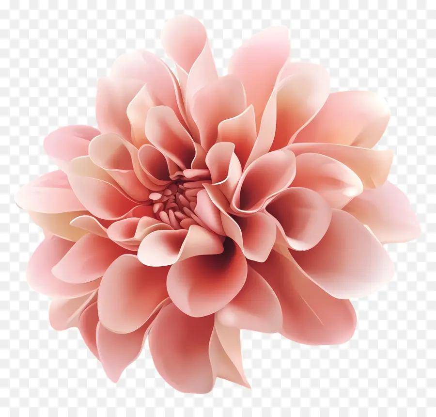 Fleur De Poignet De Bal，Fleur PNG