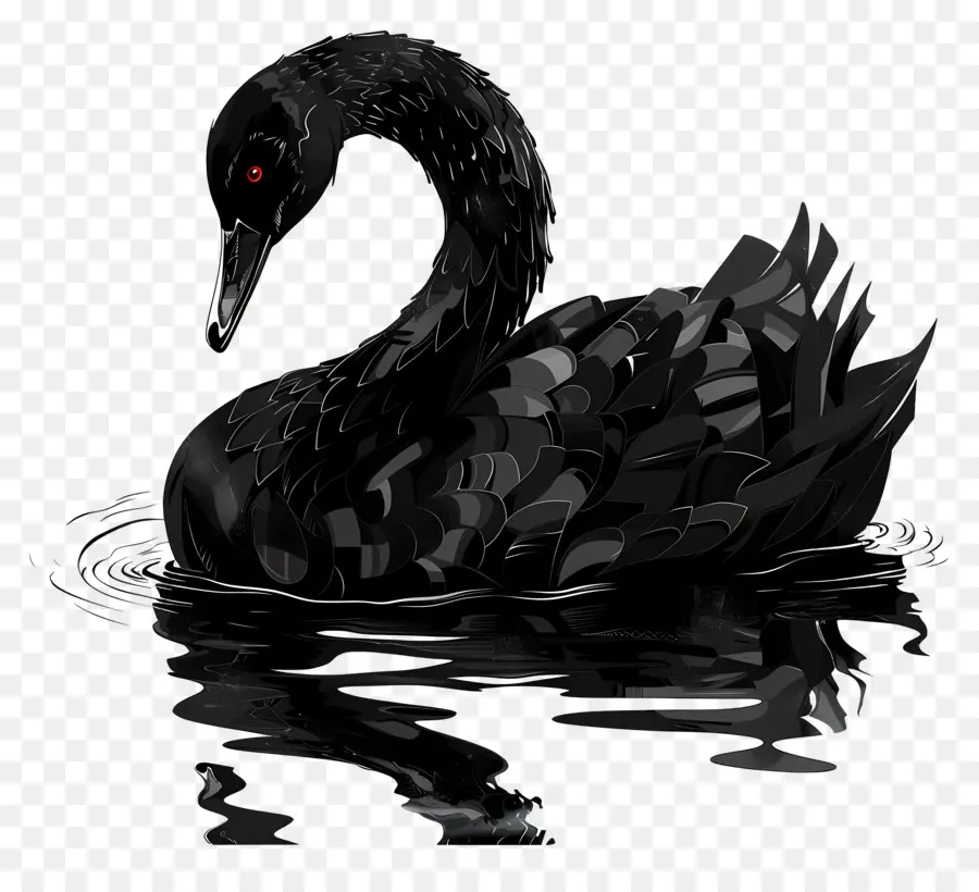 Cygne Noir，Eau PNG