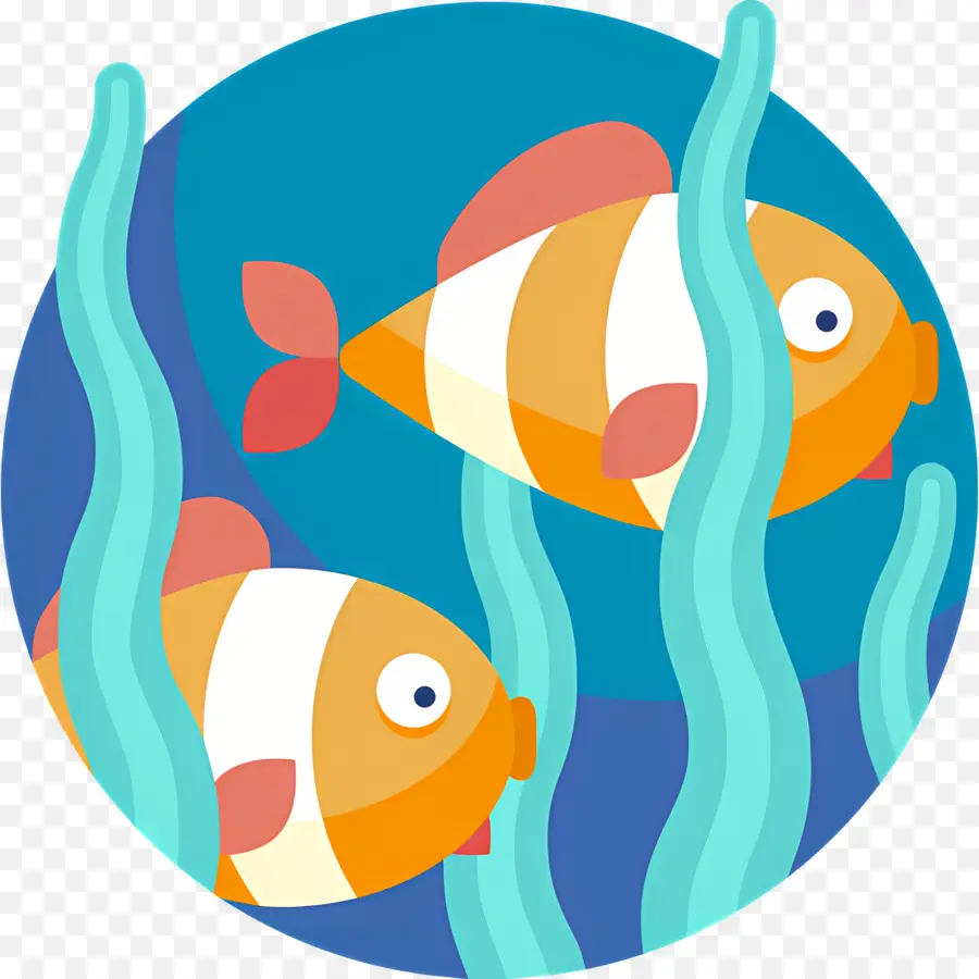 Poisson De Mer，Poisson Clown PNG