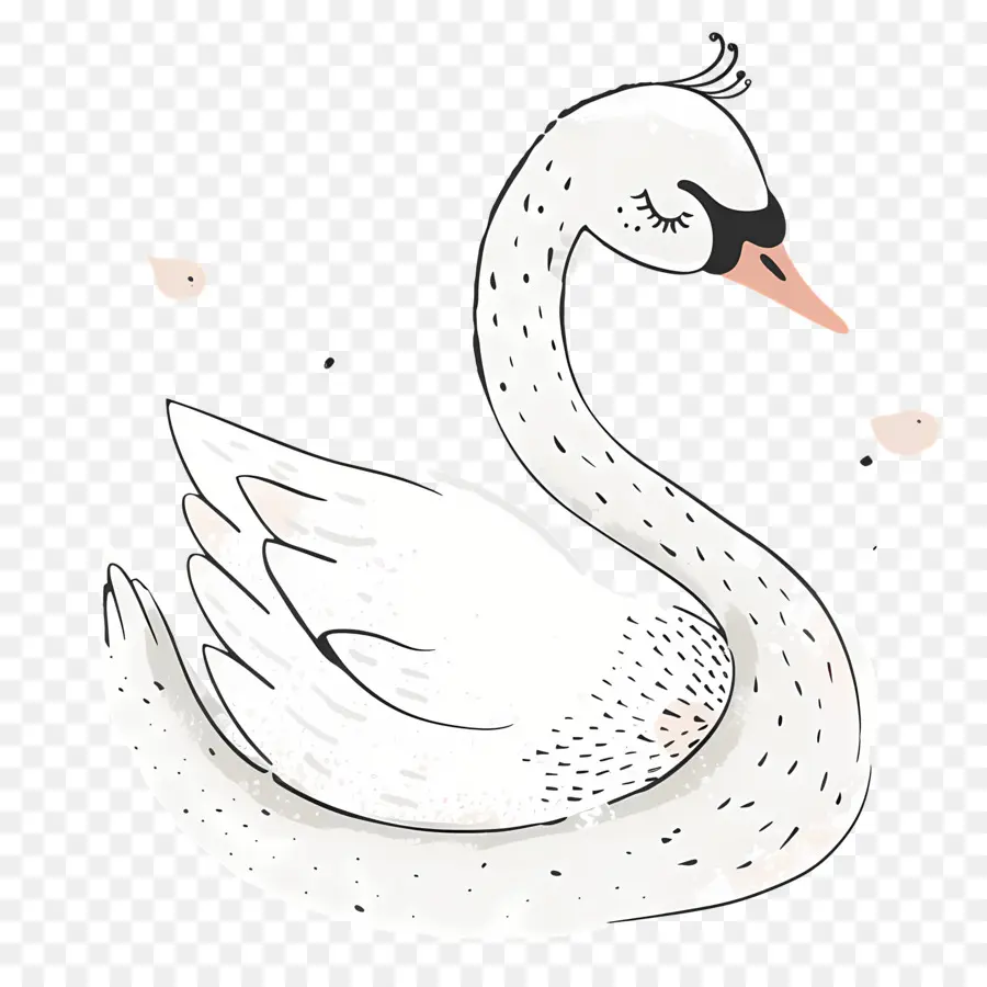 Cygne Mignon，Cygne Blanc PNG