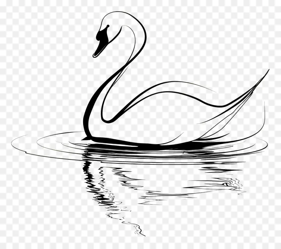 Contour Du Cygne，Cygne Noir PNG