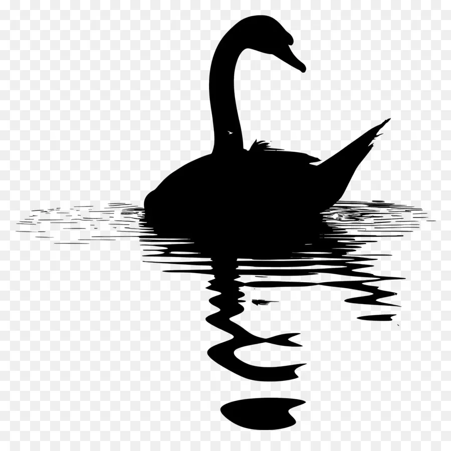 Silhouette De Cygne，Cygne Noir PNG