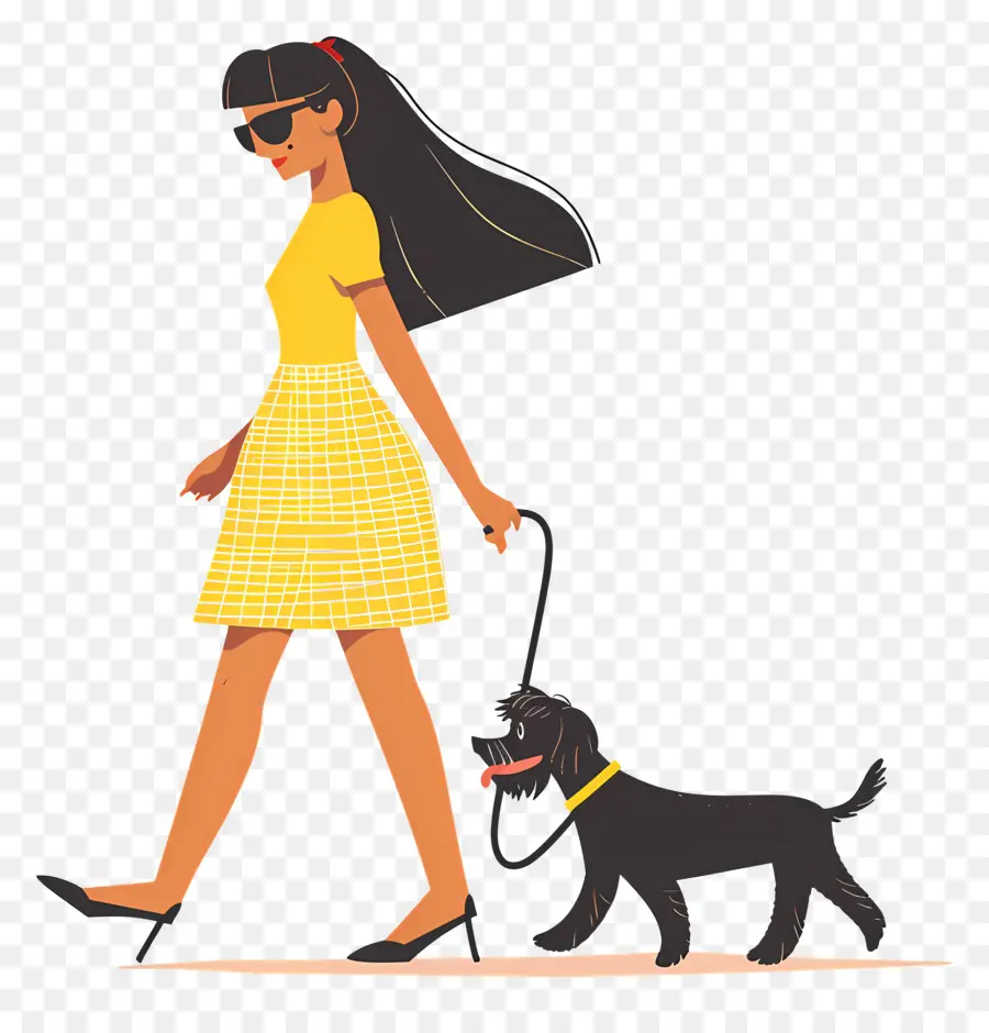 Femme Qui Promène Son Chien，Chien PNG