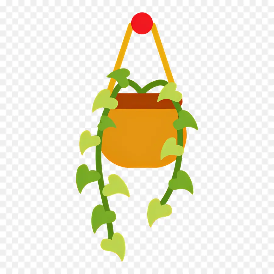 Plantes Suspendues，Plante Suspendue PNG