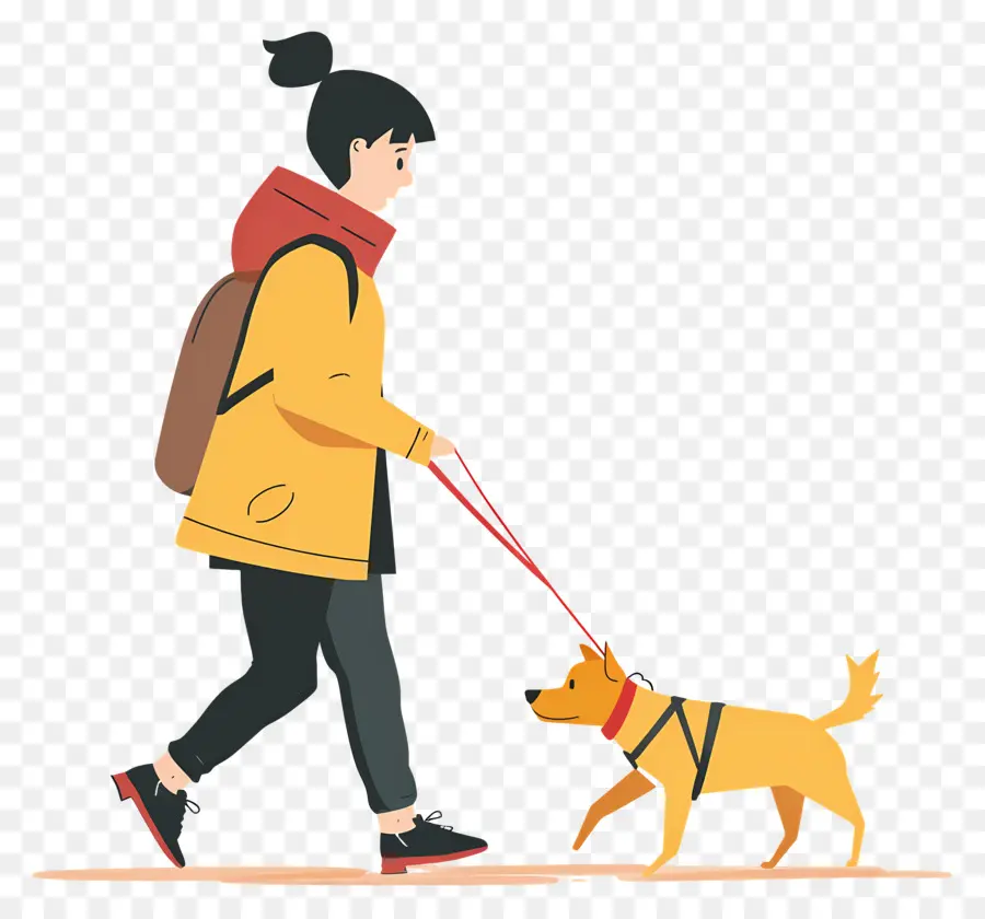 Femme Qui Promène Son Chien，Chien PNG