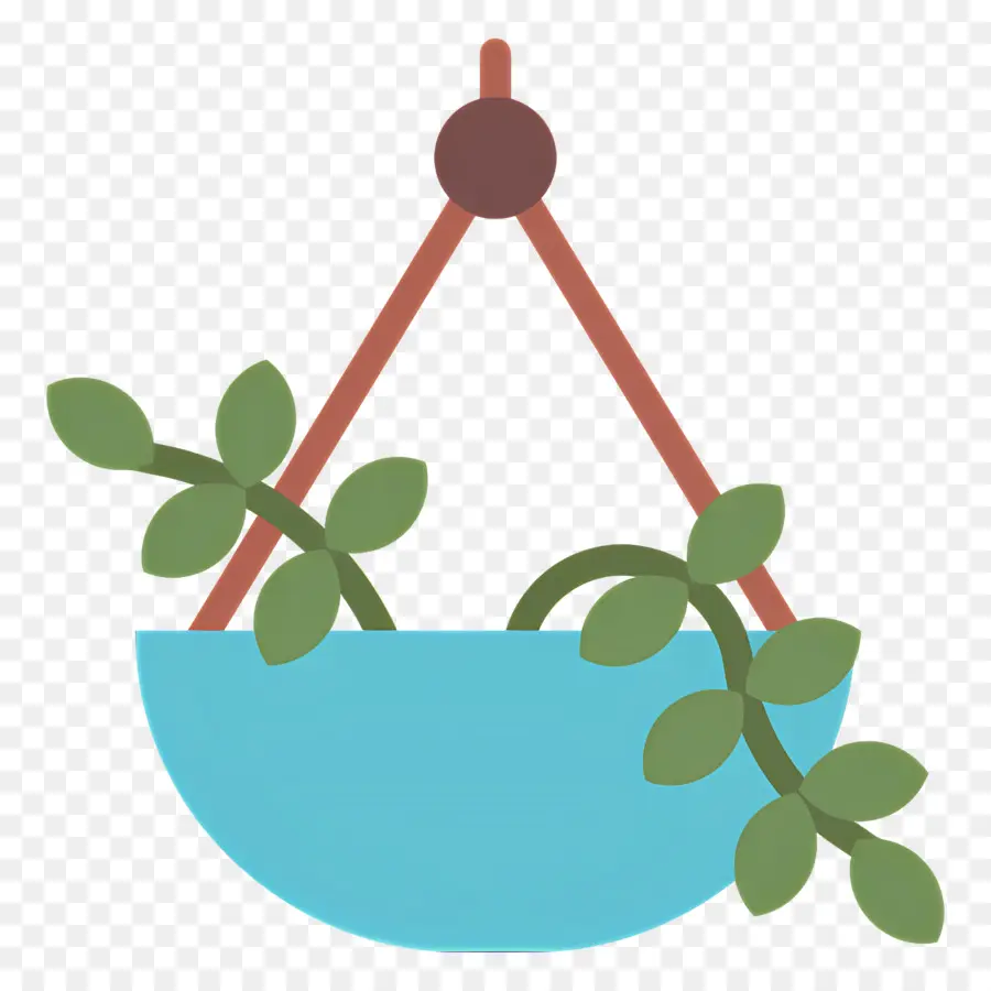 Plantes Suspendues，Plante Suspendue PNG