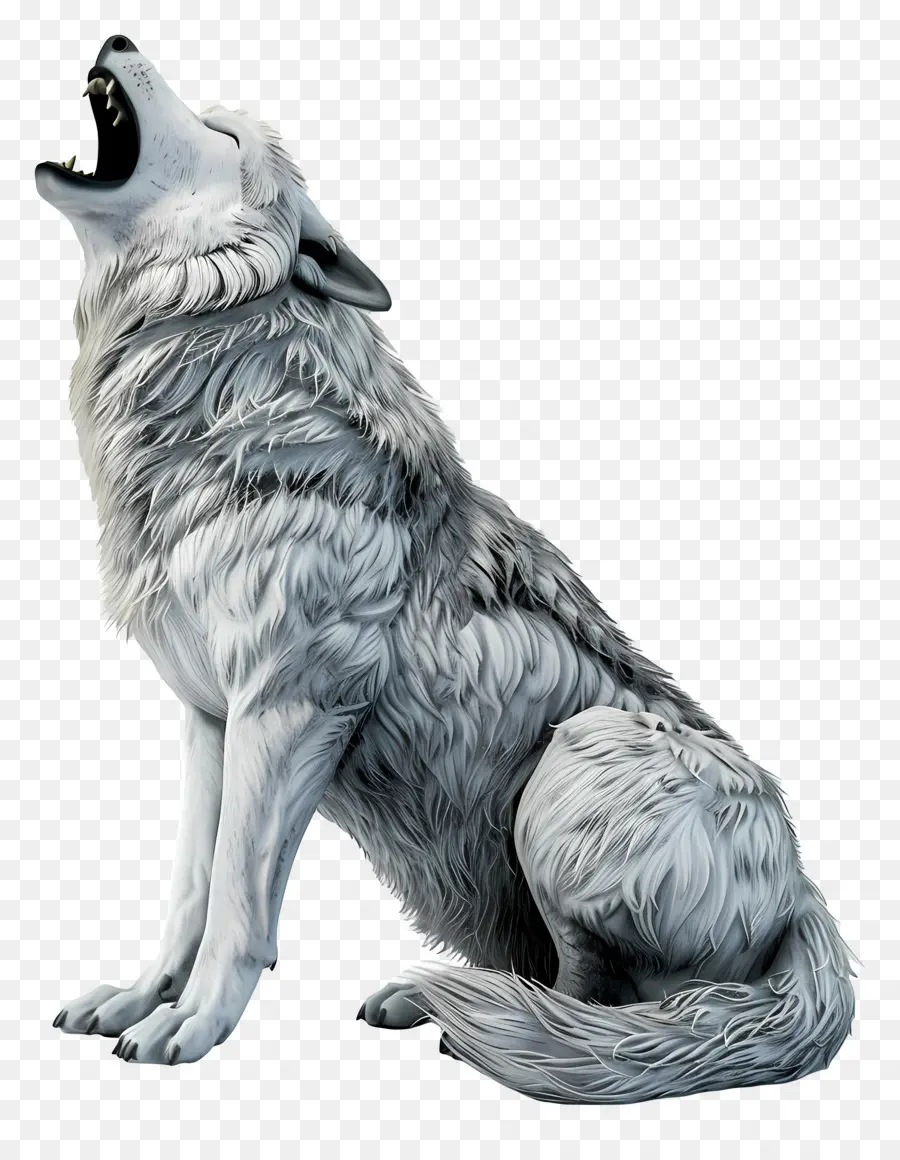 Loup Hurlant，Animal PNG