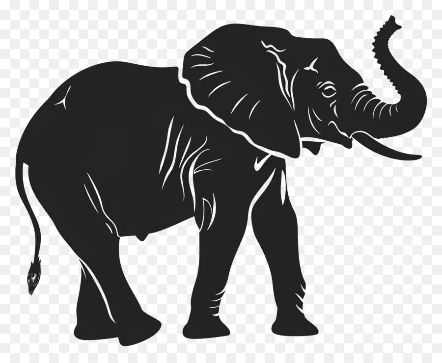 Trompe D'éléphant Jusqu'à La Silhouette，Silhouette D'éléphant PNG