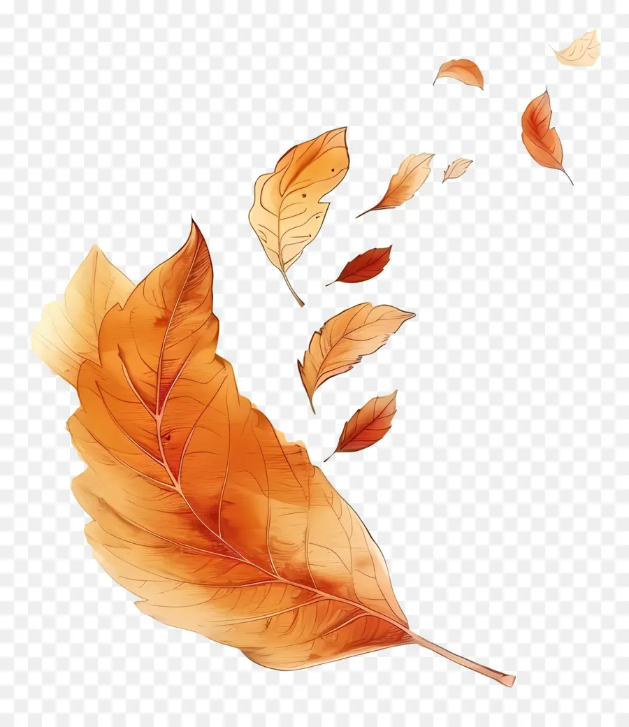 Feuille D'automne Dans Le Vent，Feuille D'oranger PNG