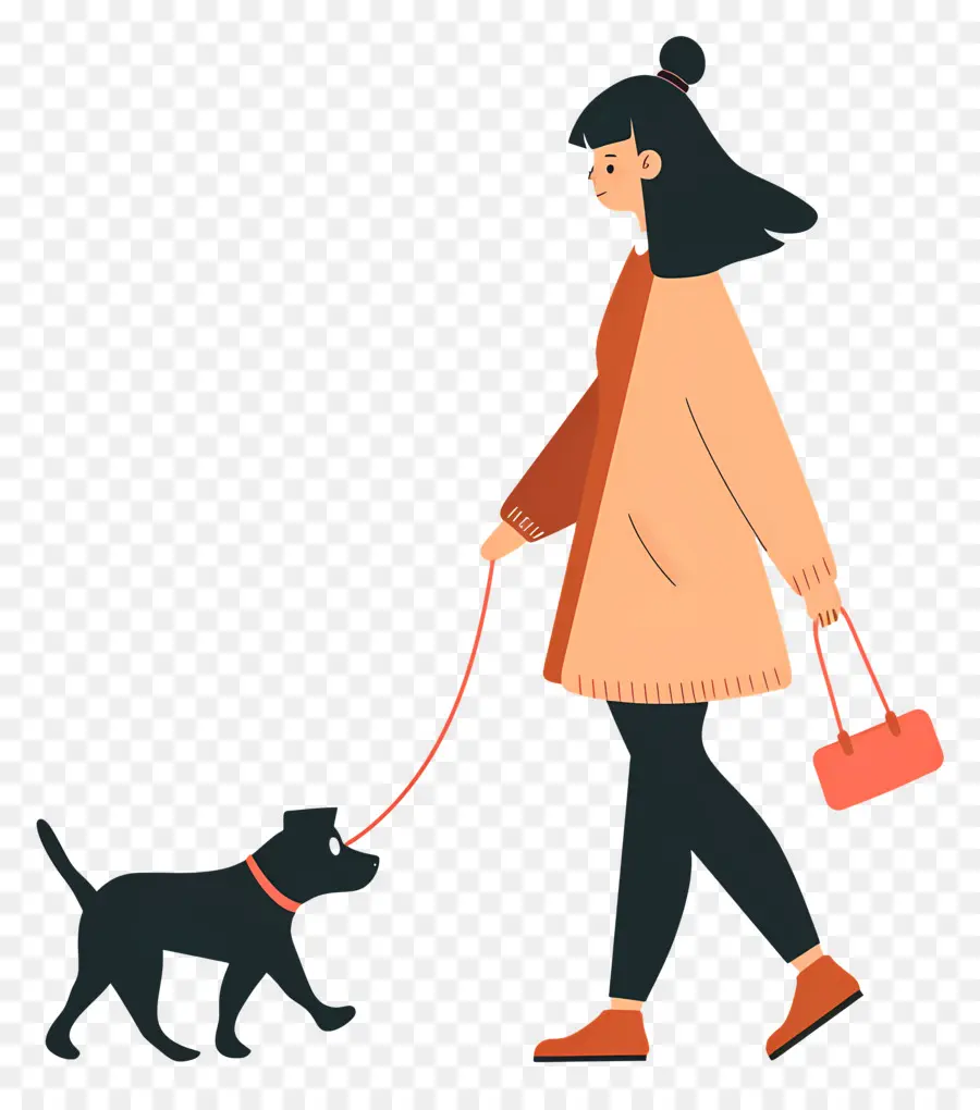 Femme Qui Promène Son Chien，Chien PNG