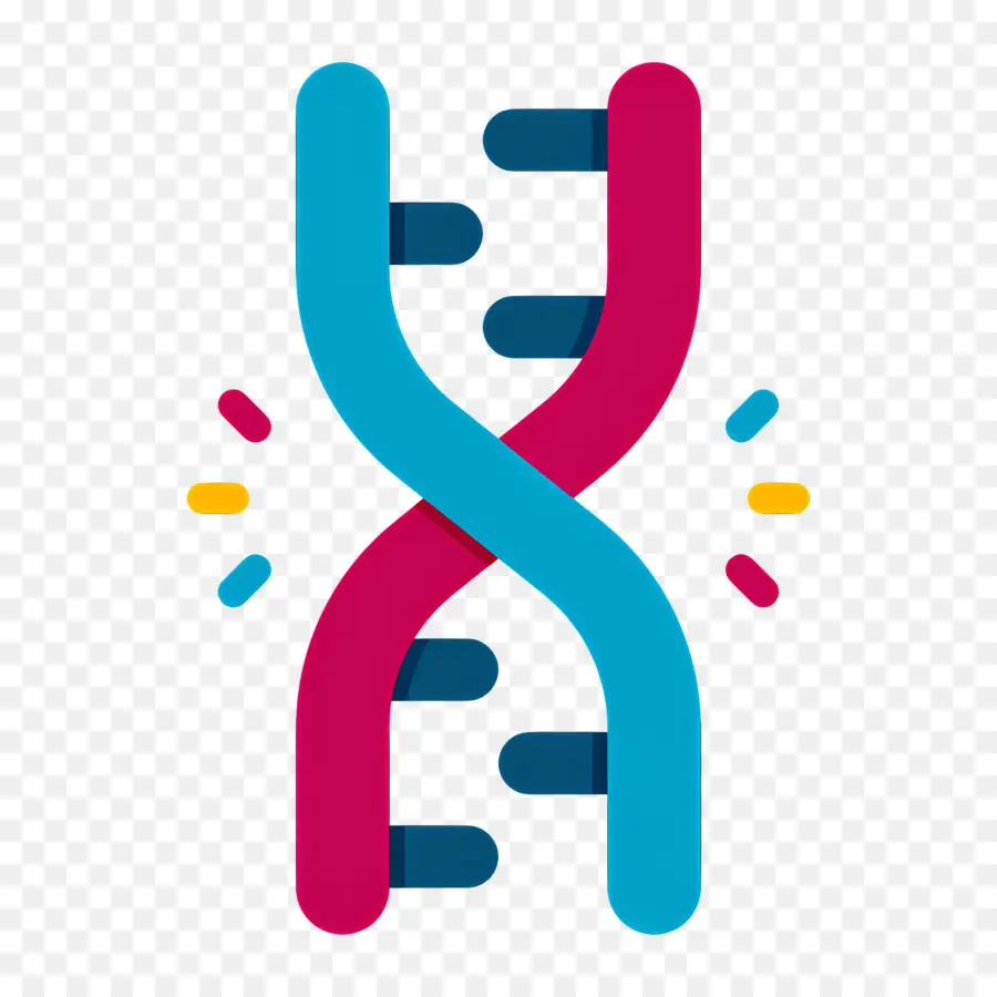 Mutation De L'adn，Brin D'adn PNG