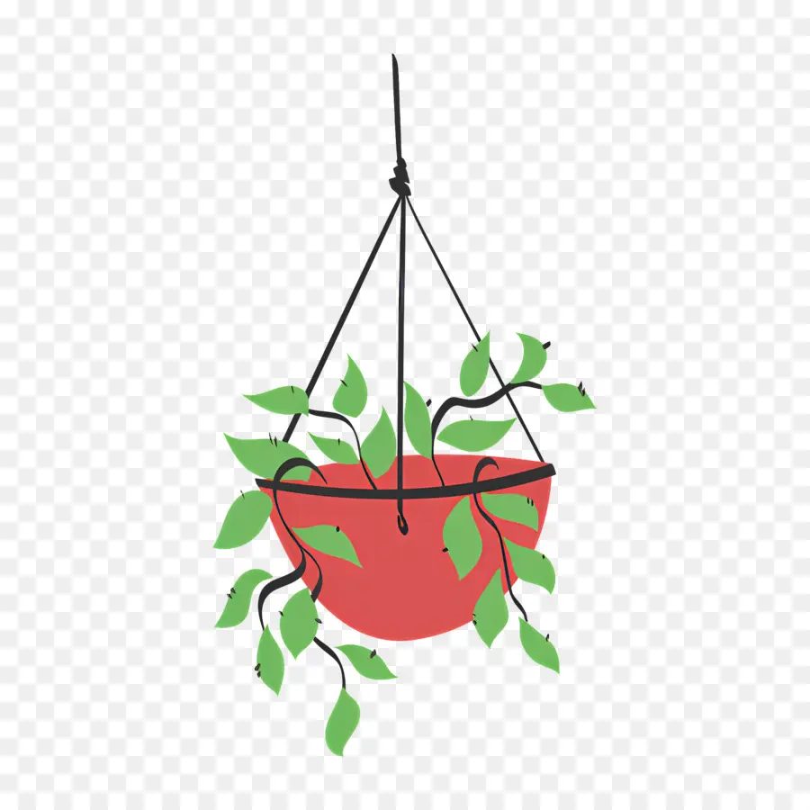 Plantes Suspendues，Plante Suspendue PNG