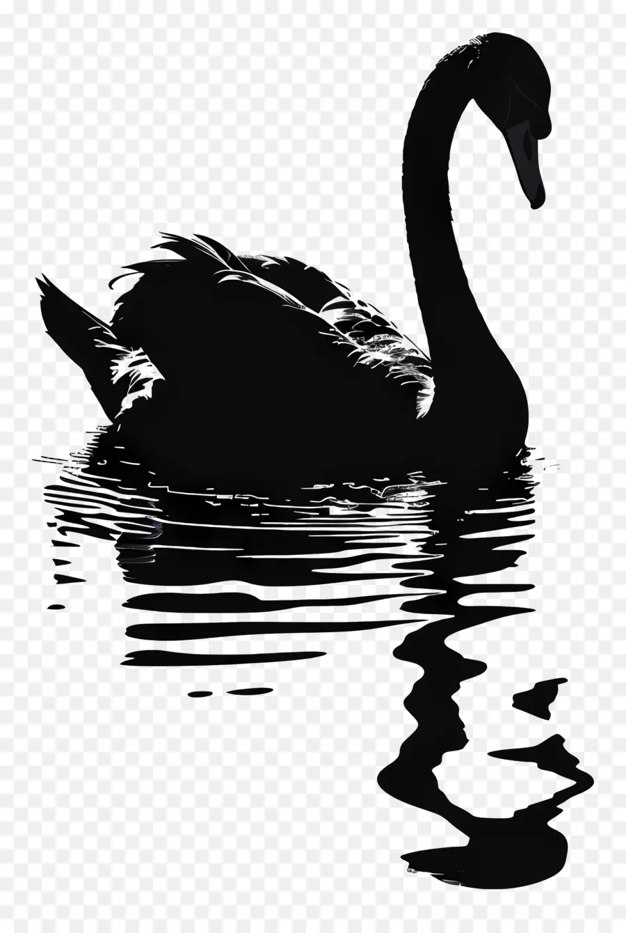 Silhouette De Cygne，Cygne Noir PNG