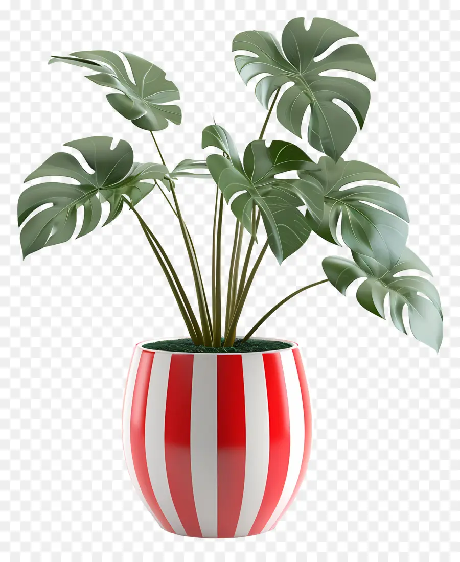 Plante Tropicale En Pot，Usine PNG