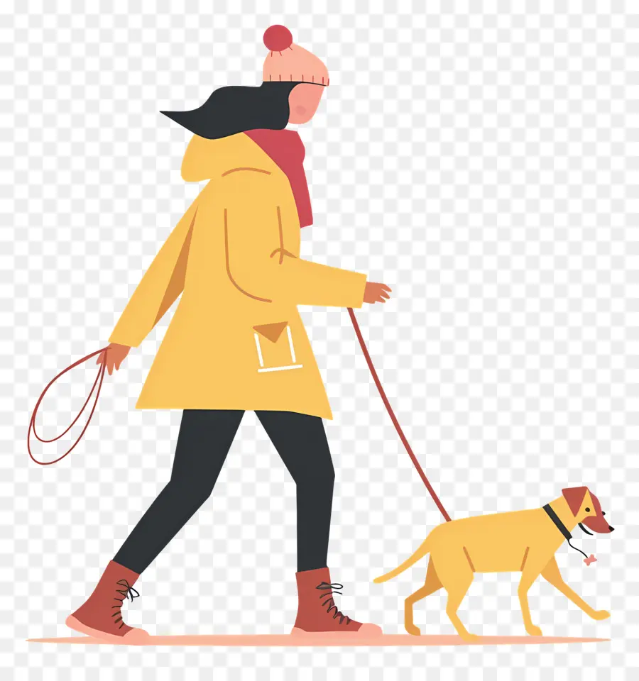 Femme Qui Promène Son Chien，Fille Qui Promène Un Chien PNG