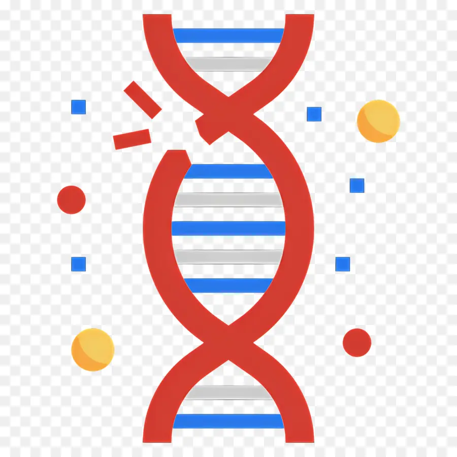 Mutation De L'adn，Adn PNG