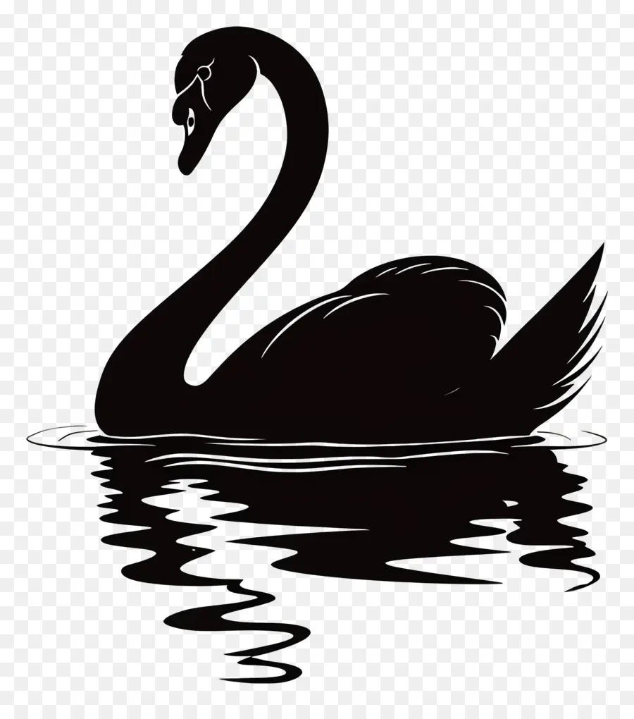 Silhouette De Cygne，Cygne Noir PNG