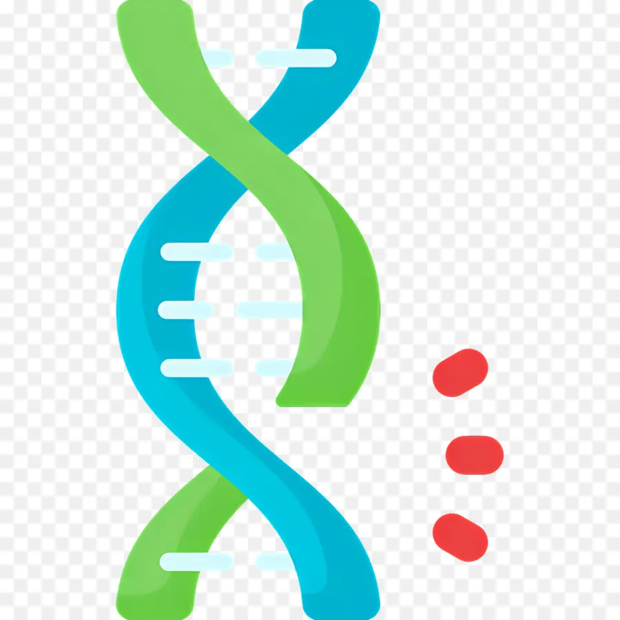 Mutation De L'adn，Brin D'adn PNG