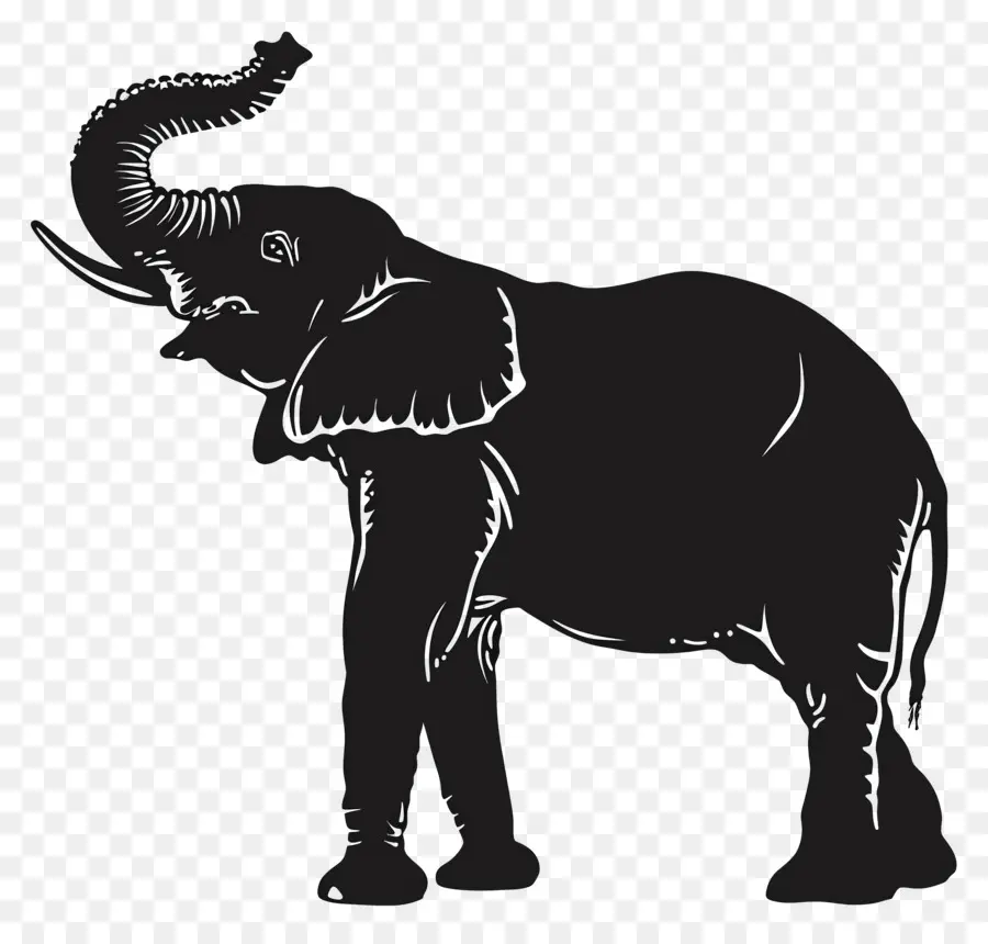 Trompe D'éléphant Jusqu'à La Silhouette，Silhouette D'éléphant PNG