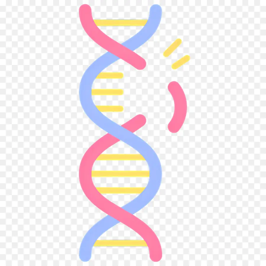 Mutation De L'adn，Brin D'adn PNG