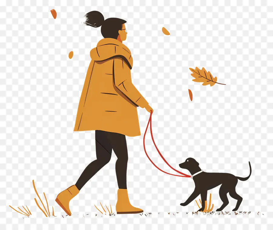 Femme Qui Promène Son Chien，Chien PNG