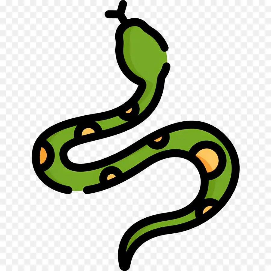 Serpent，Serpent Vert PNG