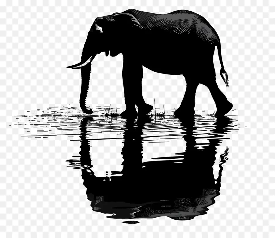 Silhouette D'éléphant，Éléphant PNG