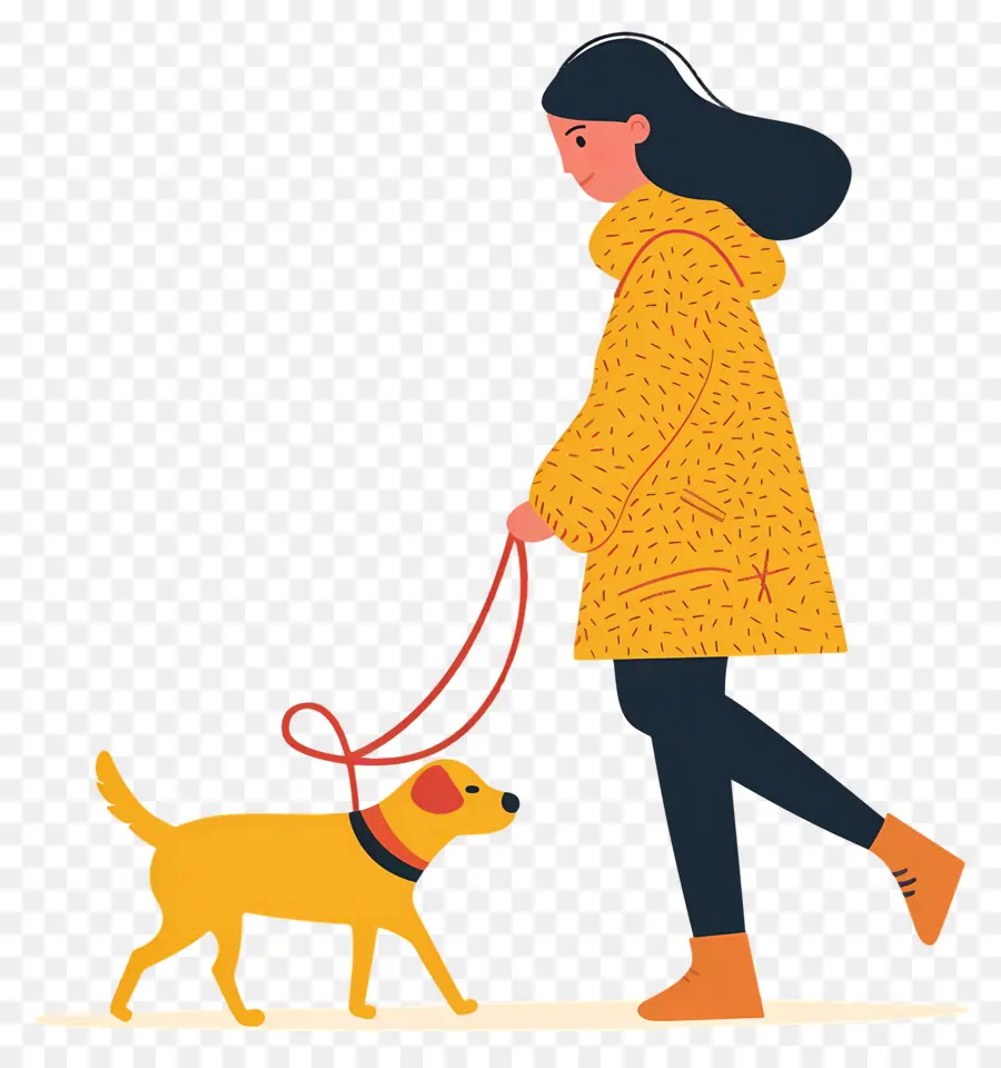 Femme Qui Promène Son Chien，Chien PNG